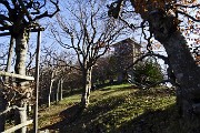Monte Suchello (1541 m) da Aviatico (1080 m) il 13 aprile 2015  - FOTOGALLERY